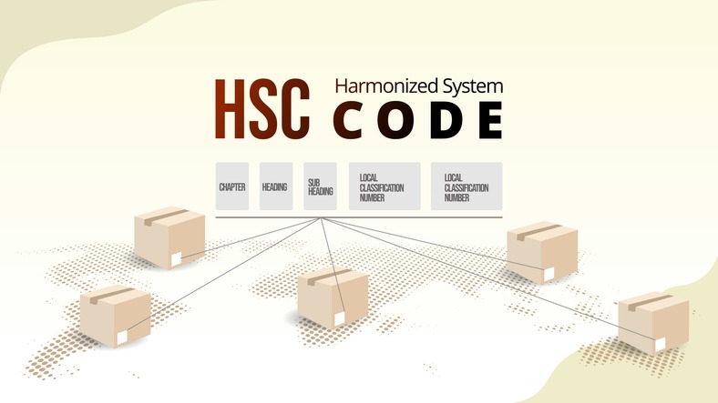 HS code (Harmonized System: Internationaler Code zur Klassifizierung von Import- und Exportwaren. Vektorgrafik zum Konzept des Lieferkettenmanagements.
