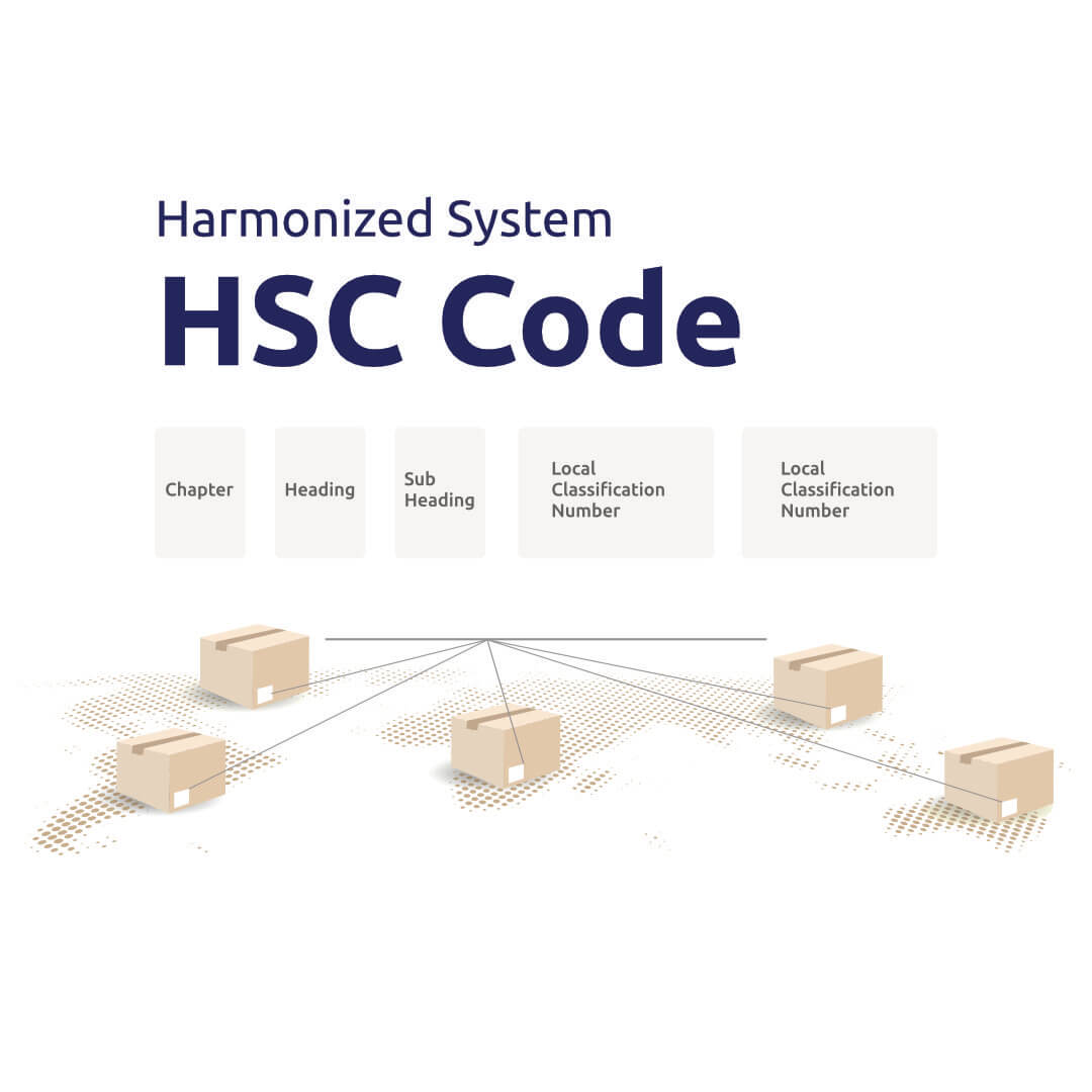 HS code (Harmonized System: Internationaler Code zur Klassifizierung von Import- und Exportwaren. Vektorgrafik zum Konzept des Lieferkettenmanagements.